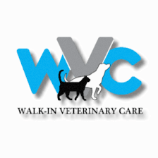 Walk-In Veterinary Care