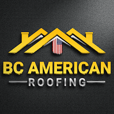 Blue Collar American Roofing LLC