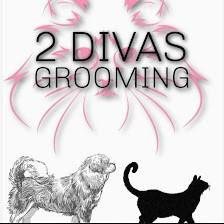 2 Divas Grooming