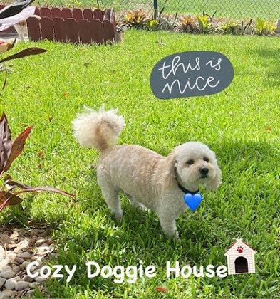 Cozy Doggie House LLC.