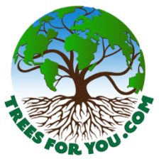TreesForYou.com