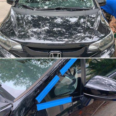 The Auto Glass Company