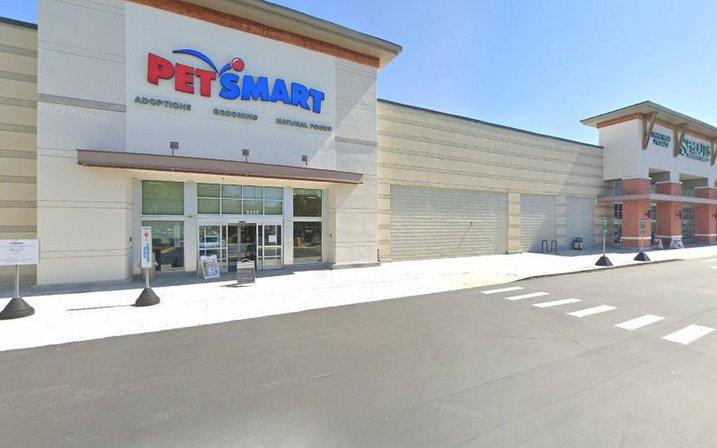 PetSmart Dog Training
