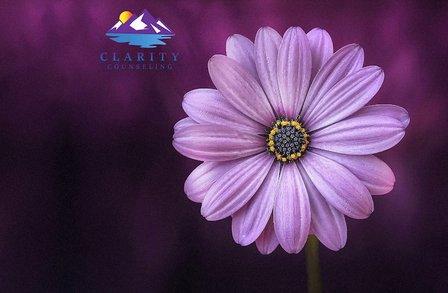 Clarity Counseling