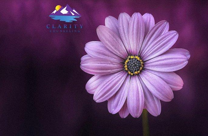 Clarity Counseling