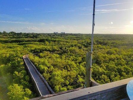 Weedon Island Preserve