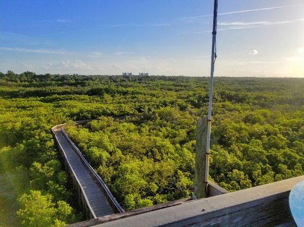 Weedon Island Preserve