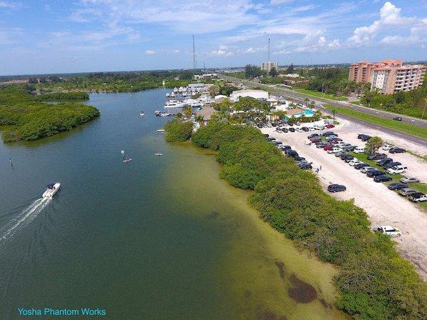 Gandy Beach Mangroves