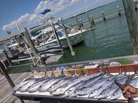 Go Fast Fishing Charters