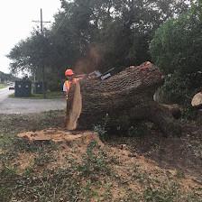 On Demand Tree Service