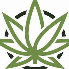 Marijuana Doc
