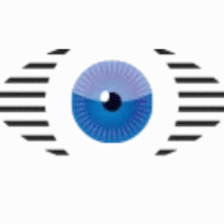 Hamilton Eye