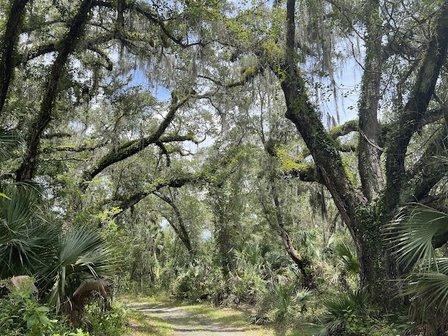 Old Fort King Trail Parking and Trail Start