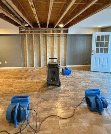 Mold Remediation Tampa Guys