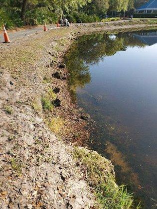 Crosscreek Environmental, Inc.
