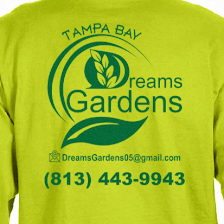 Tampa Bay Dreams Gardens