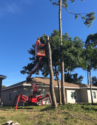 On Demand Tree Service