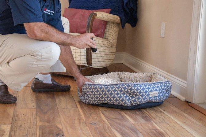 Geiger's Pest Services