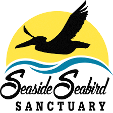 Seaside Seabird Sanctuary