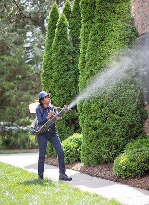 Rocket Pest Control