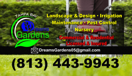 Tampa Bay Dreams Gardens