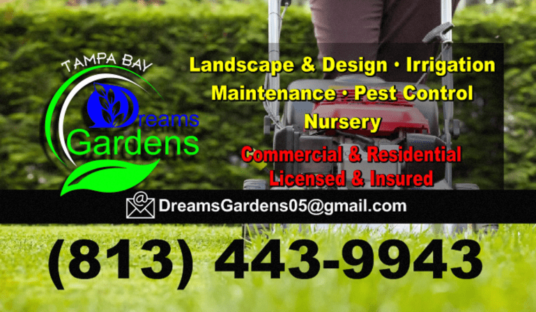 Tampa Bay Dreams Gardens