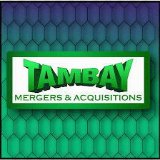 TAMBAY Mergers & Acquisitions