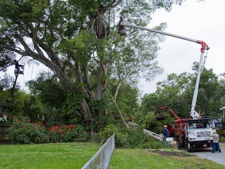 Yutzy Tree Service