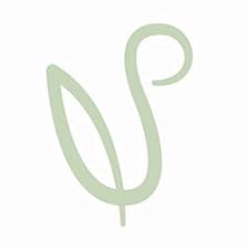 Universal Spine & Joint Specialists