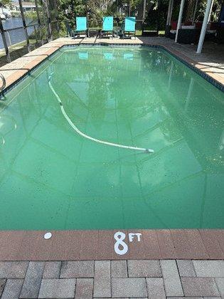 Neighborhood Pool Guys