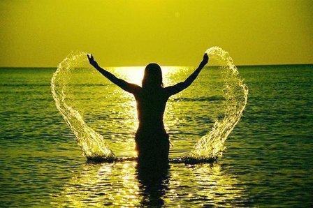 Suncoast Anesthesiology / Suncoast Wellness & Weight Loss / Debra Eriksen, D.O.