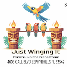 Just winging it zhills