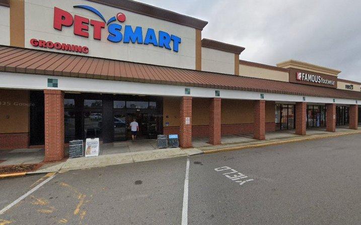 PetSmart Dog Training