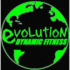 Evolution Dynamic Fitness
