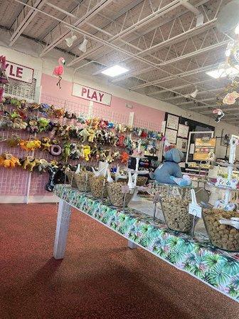 Woof Gang Bakery & Grooming South Tampa