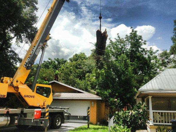 Arbor Source Professional Tree Care