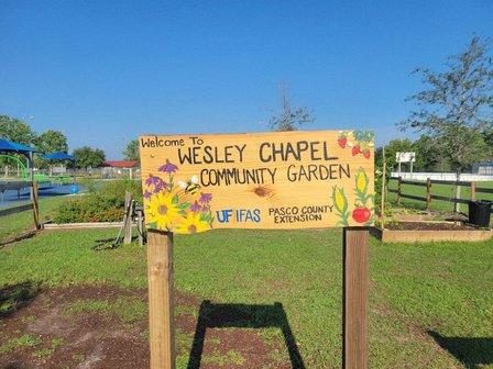 Wesley Chapel Community Garden