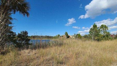 Aripeka Sandhills Preserve