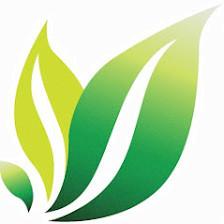 Thriveon Information & Technology