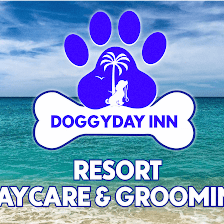 DoggyDay Inn Resort, Daycare & Grooming