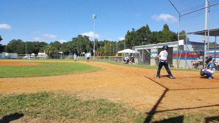 Pony Baseball Temple Terrace