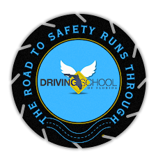 Driving School of Florida- Tampa, FL
