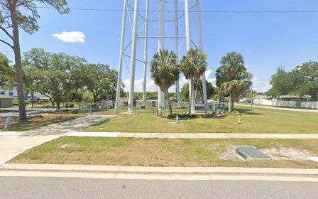 Pinellas Park water tower/Palm Trees
