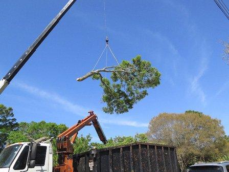 ABC 1-2-Tree, Inc.