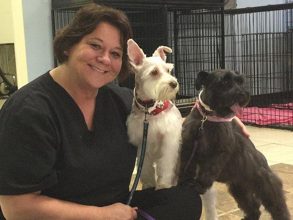 Puppycutz Pet Spa