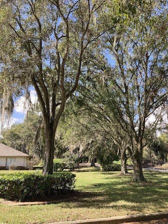 Charming Lakes Rehabilitation & Care Center