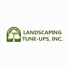 Landscaping Tune-Ups