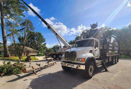 St. Pete Tree Experts