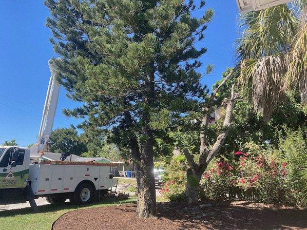 Triangle Tree Service & Landscaping