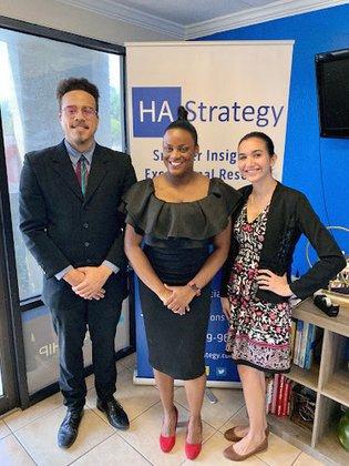 HA Strategy (Public Accountants)